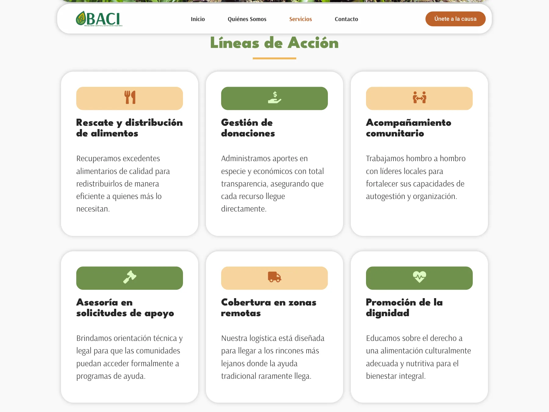 Líneas de acción de BACI, del rescate de alimentos a la asesoría en solicitudes de apoyo.